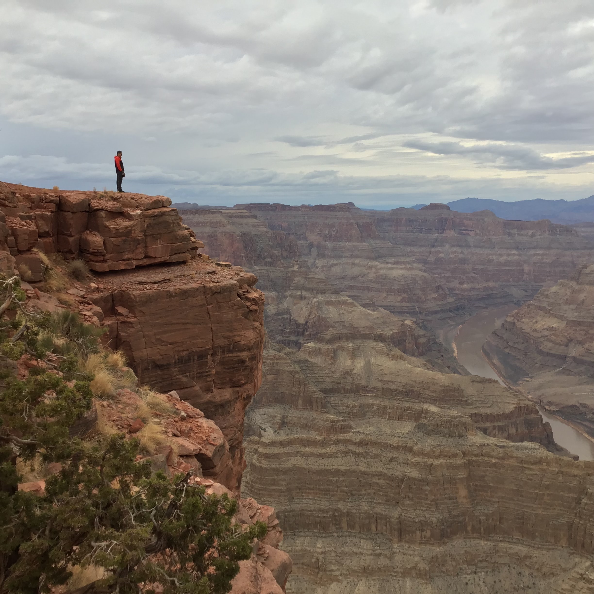 Man overlooking Grand Canyon